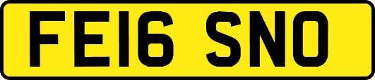 FE16SNO