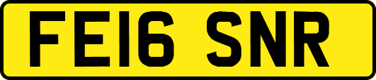 FE16SNR
