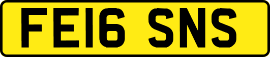 FE16SNS