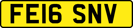 FE16SNV