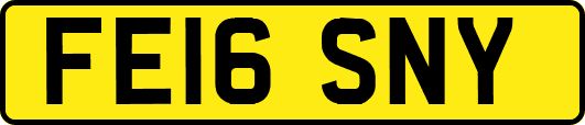FE16SNY