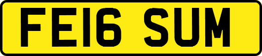 FE16SUM