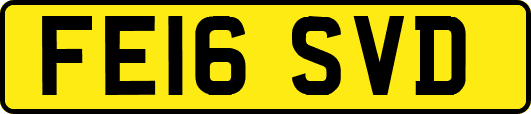 FE16SVD