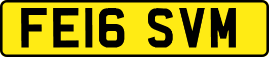 FE16SVM
