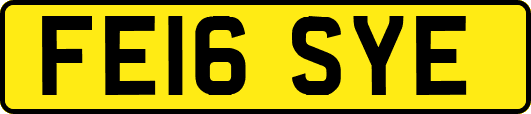 FE16SYE