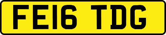 FE16TDG