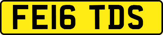 FE16TDS