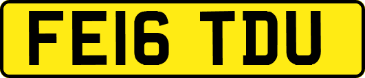 FE16TDU