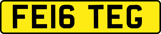 FE16TEG