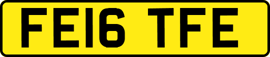 FE16TFE