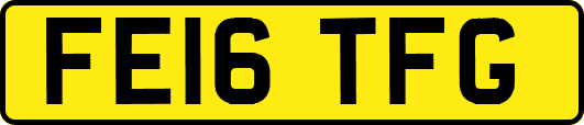FE16TFG