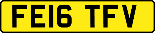 FE16TFV