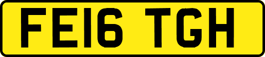FE16TGH
