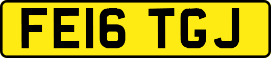 FE16TGJ