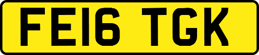 FE16TGK
