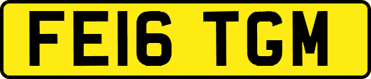 FE16TGM