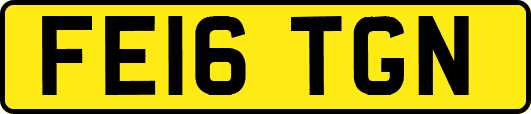 FE16TGN