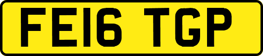 FE16TGP