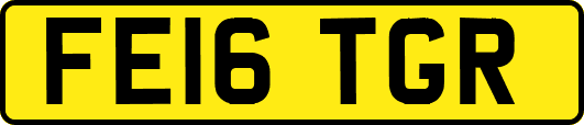 FE16TGR