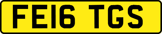 FE16TGS