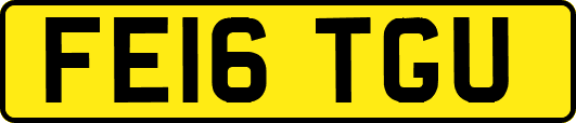 FE16TGU