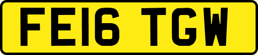 FE16TGW