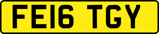 FE16TGY
