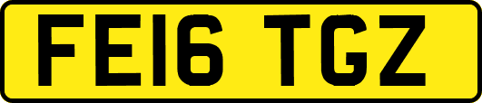 FE16TGZ