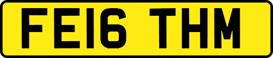 FE16THM