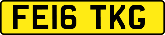 FE16TKG