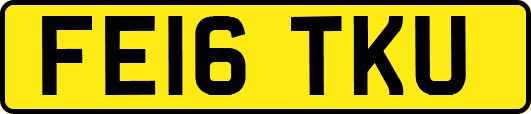 FE16TKU