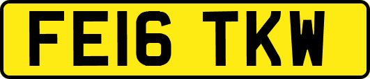 FE16TKW