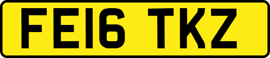 FE16TKZ