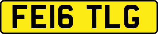 FE16TLG