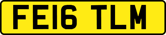 FE16TLM