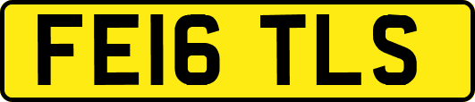 FE16TLS