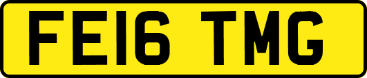 FE16TMG
