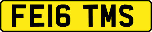 FE16TMS