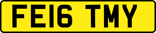 FE16TMY