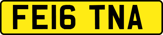 FE16TNA