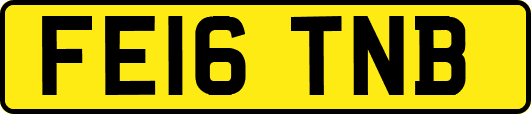 FE16TNB