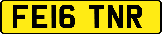 FE16TNR