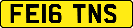 FE16TNS