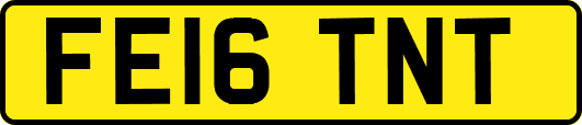 FE16TNT