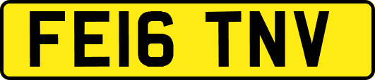 FE16TNV