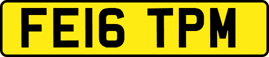 FE16TPM