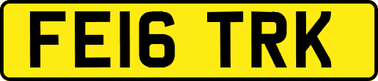 FE16TRK