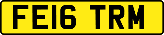 FE16TRM