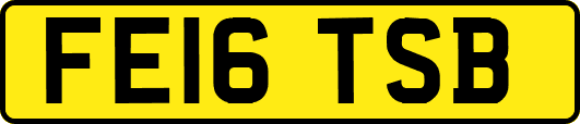 FE16TSB