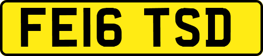 FE16TSD